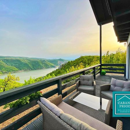 Cabana Priod Coronini Pescari Экстерьер фото