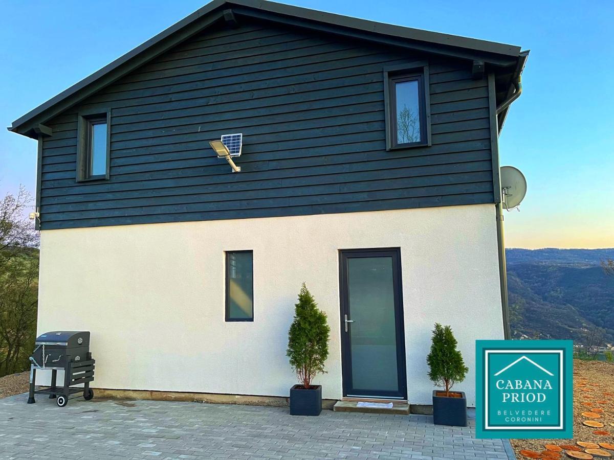 Cabana Priod Coronini Pescari Экстерьер фото