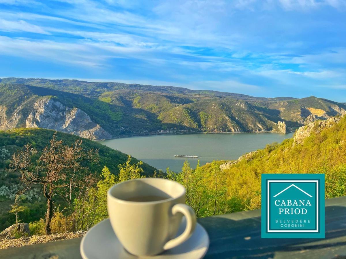 Cabana Priod Coronini Pescari Экстерьер фото