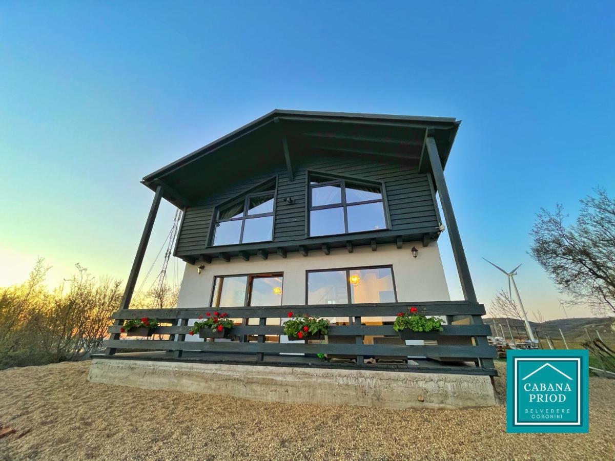 Cabana Priod Coronini Pescari Экстерьер фото