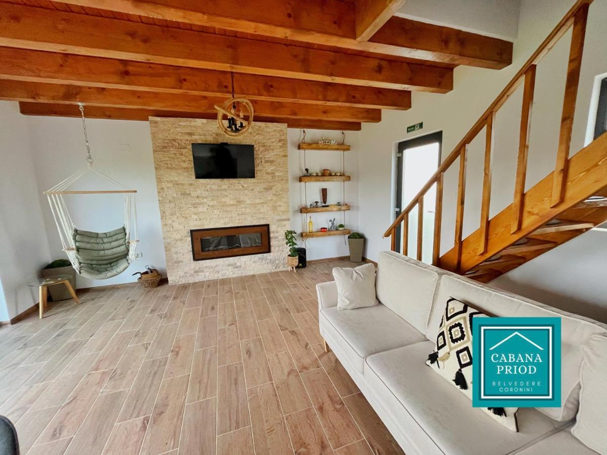 Cabana Priod Coronini Pescari Экстерьер фото