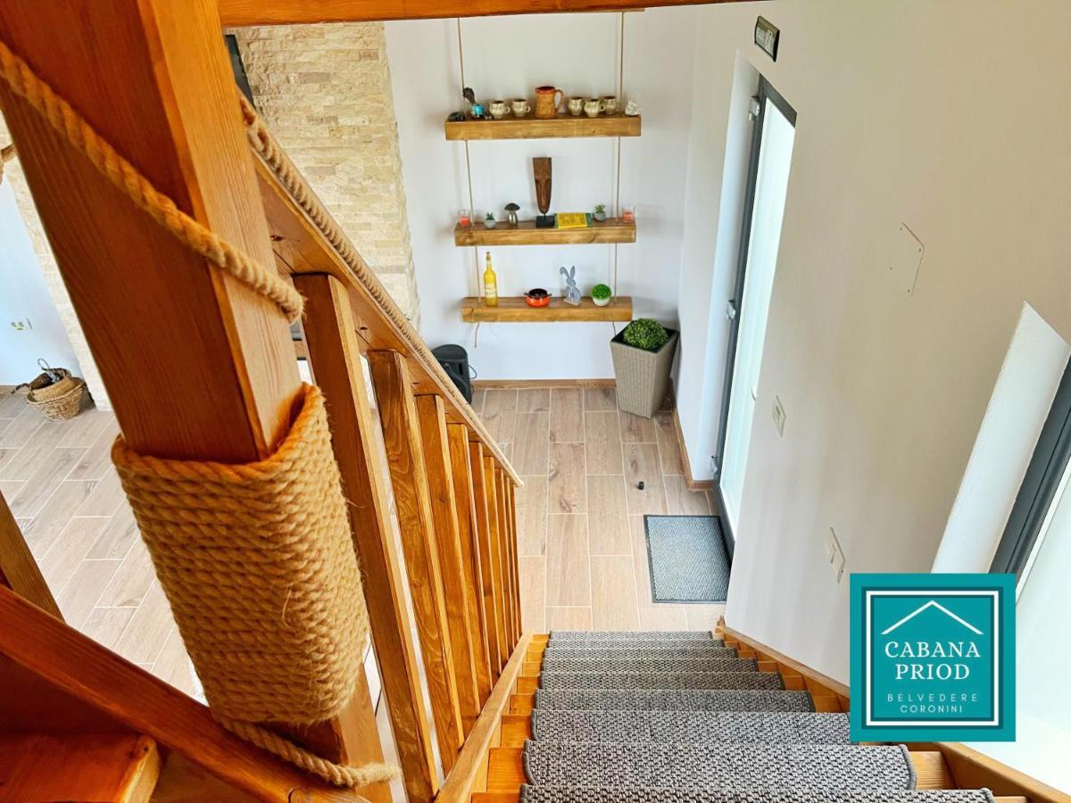 Cabana Priod Coronini Pescari Экстерьер фото