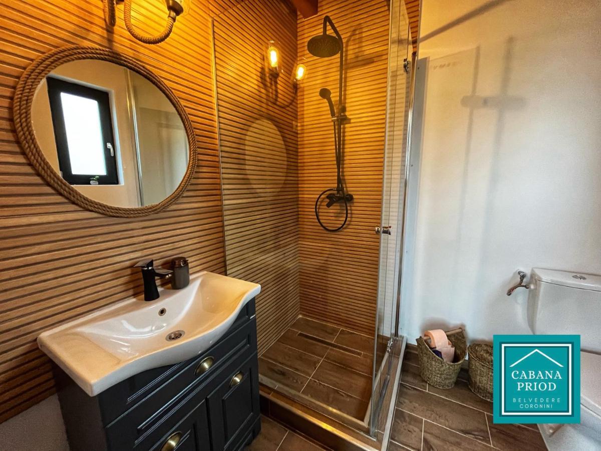 Cabana Priod Coronini Pescari Экстерьер фото