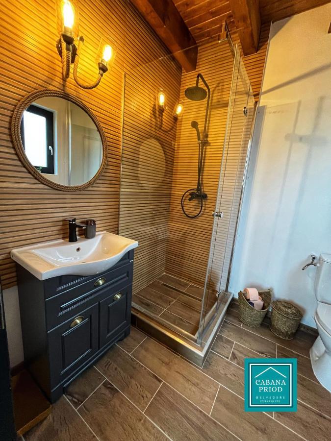 Cabana Priod Coronini Pescari Экстерьер фото