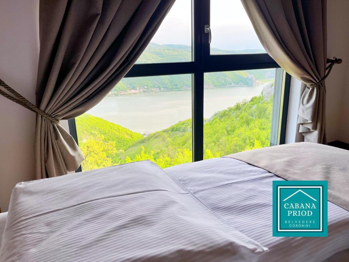 Cabana Priod Coronini Pescari Экстерьер фото