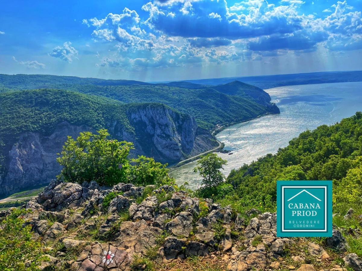 Вилла Cabana Priod Coronini Pescari Экстерьер фото