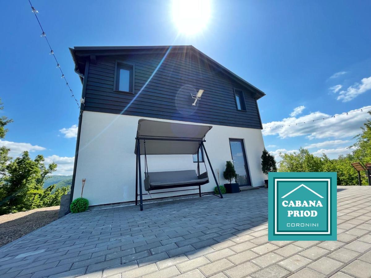 Cabana Priod Coronini Pescari Экстерьер фото