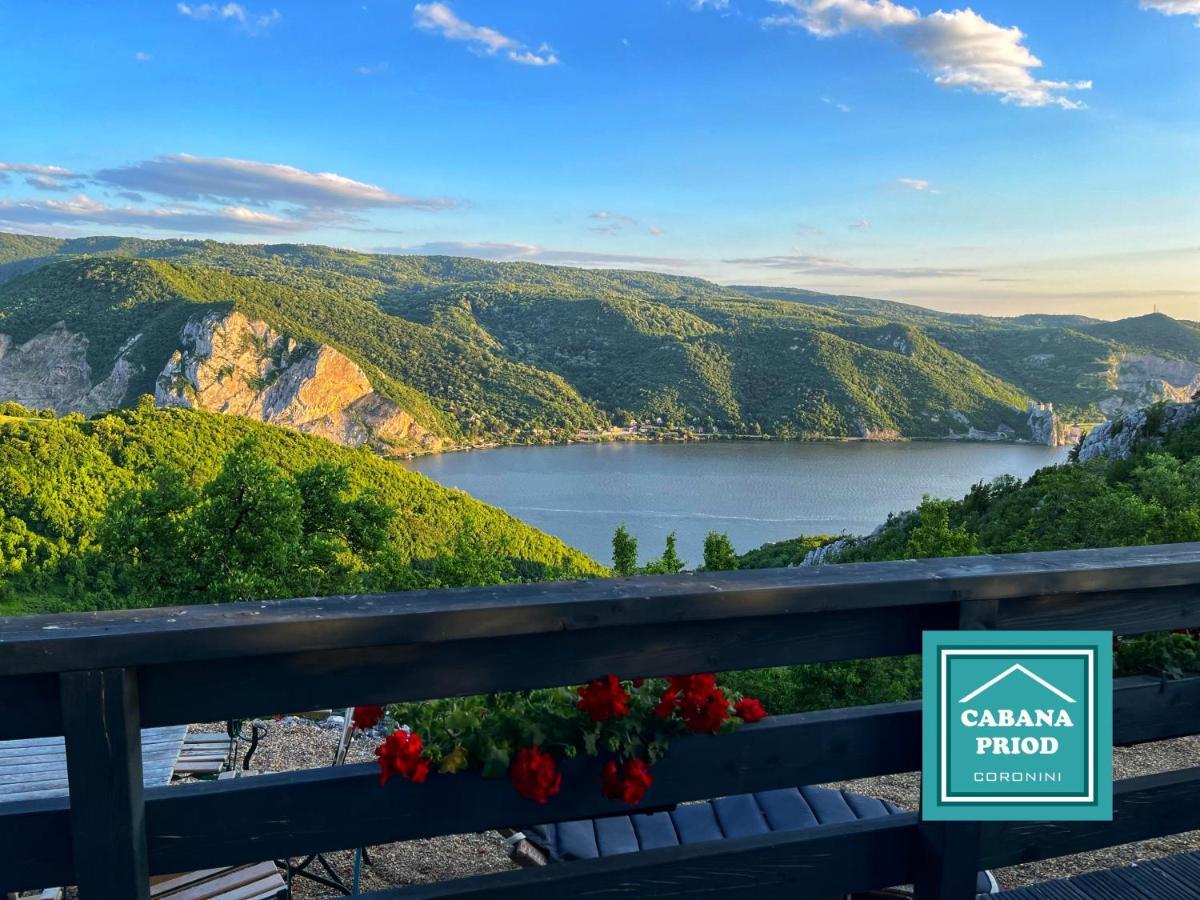 Cabana Priod Coronini Pescari Экстерьер фото