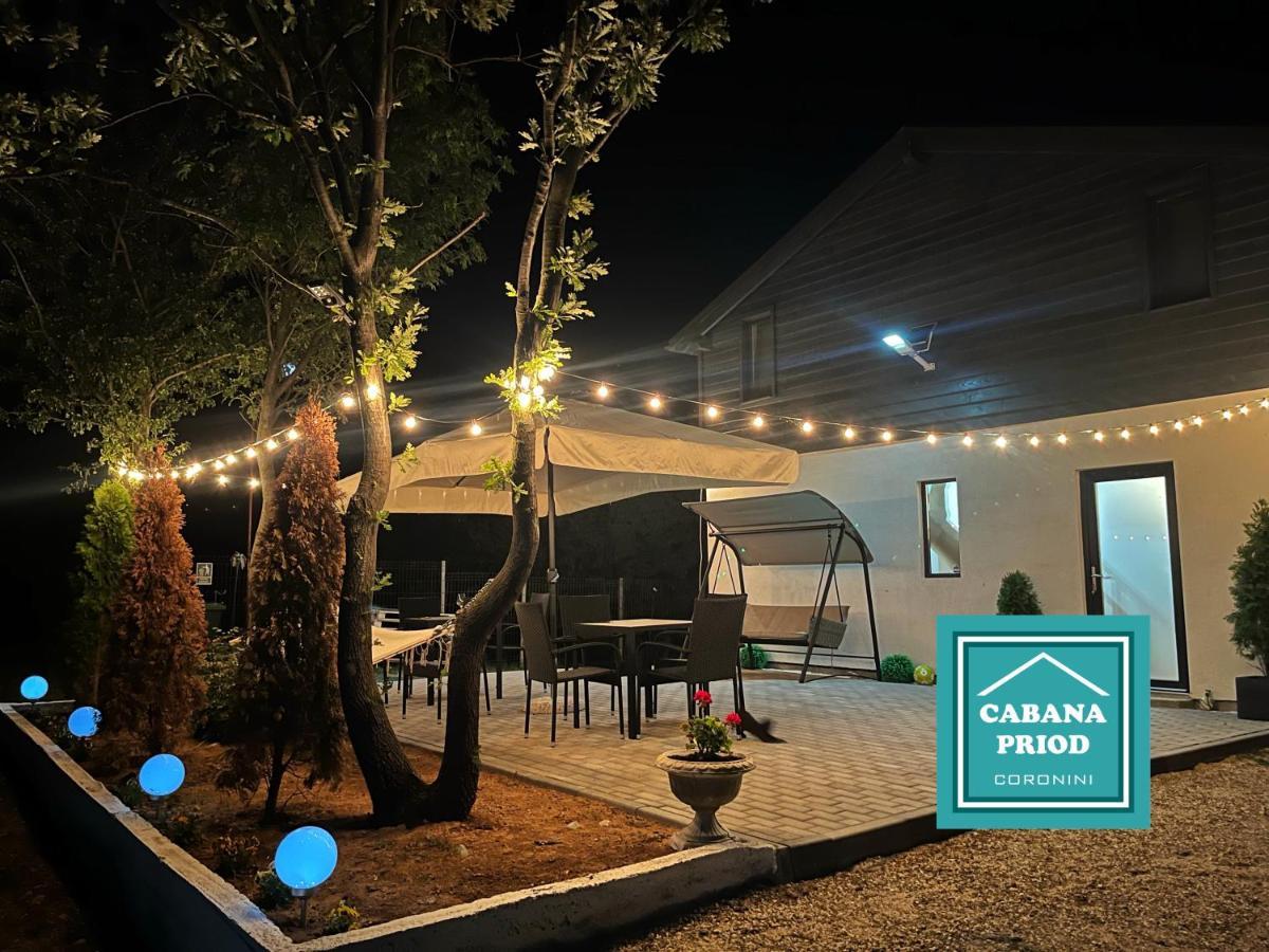 Cabana Priod Coronini Pescari Экстерьер фото