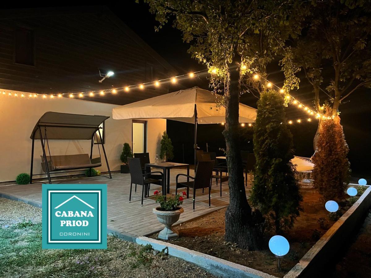 Cabana Priod Coronini Pescari Экстерьер фото