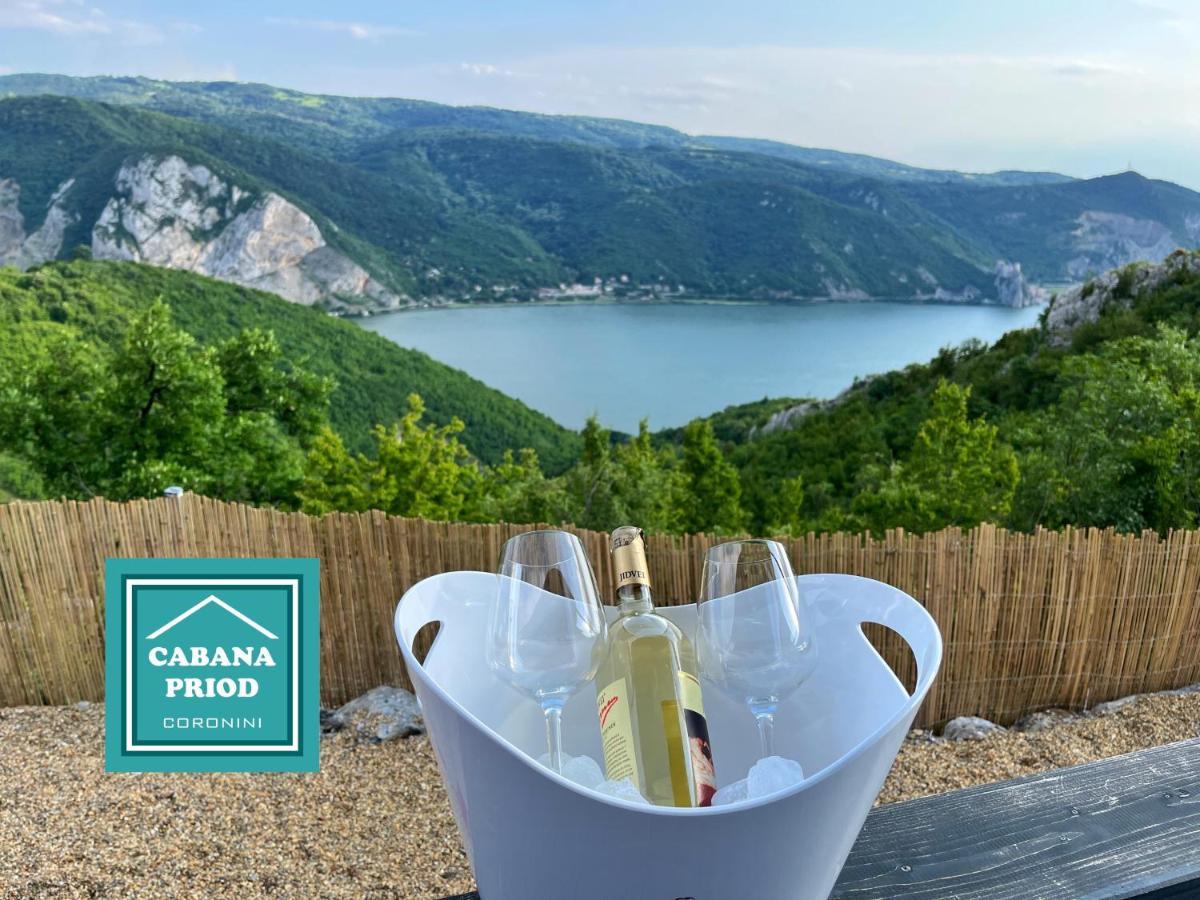 Cabana Priod Coronini Pescari Экстерьер фото