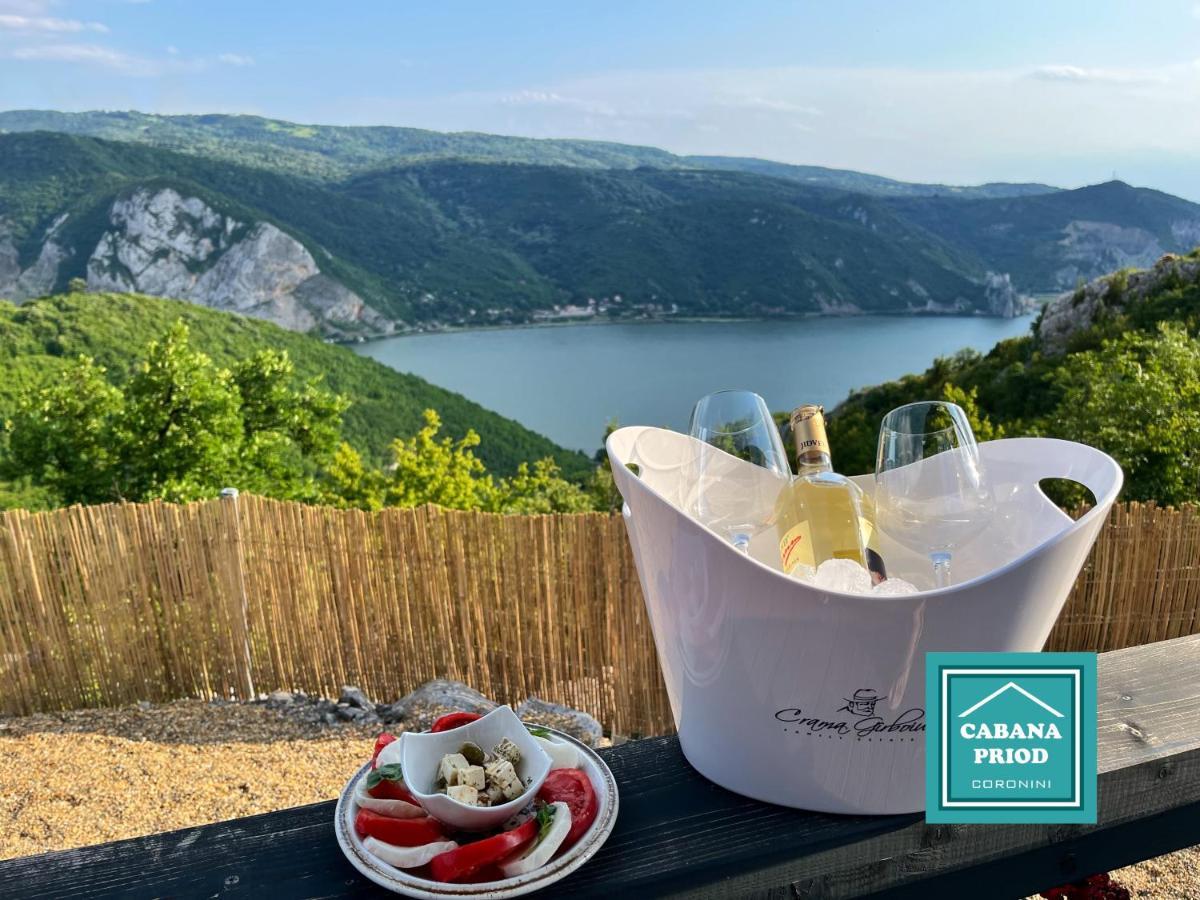 Cabana Priod Coronini Pescari Экстерьер фото