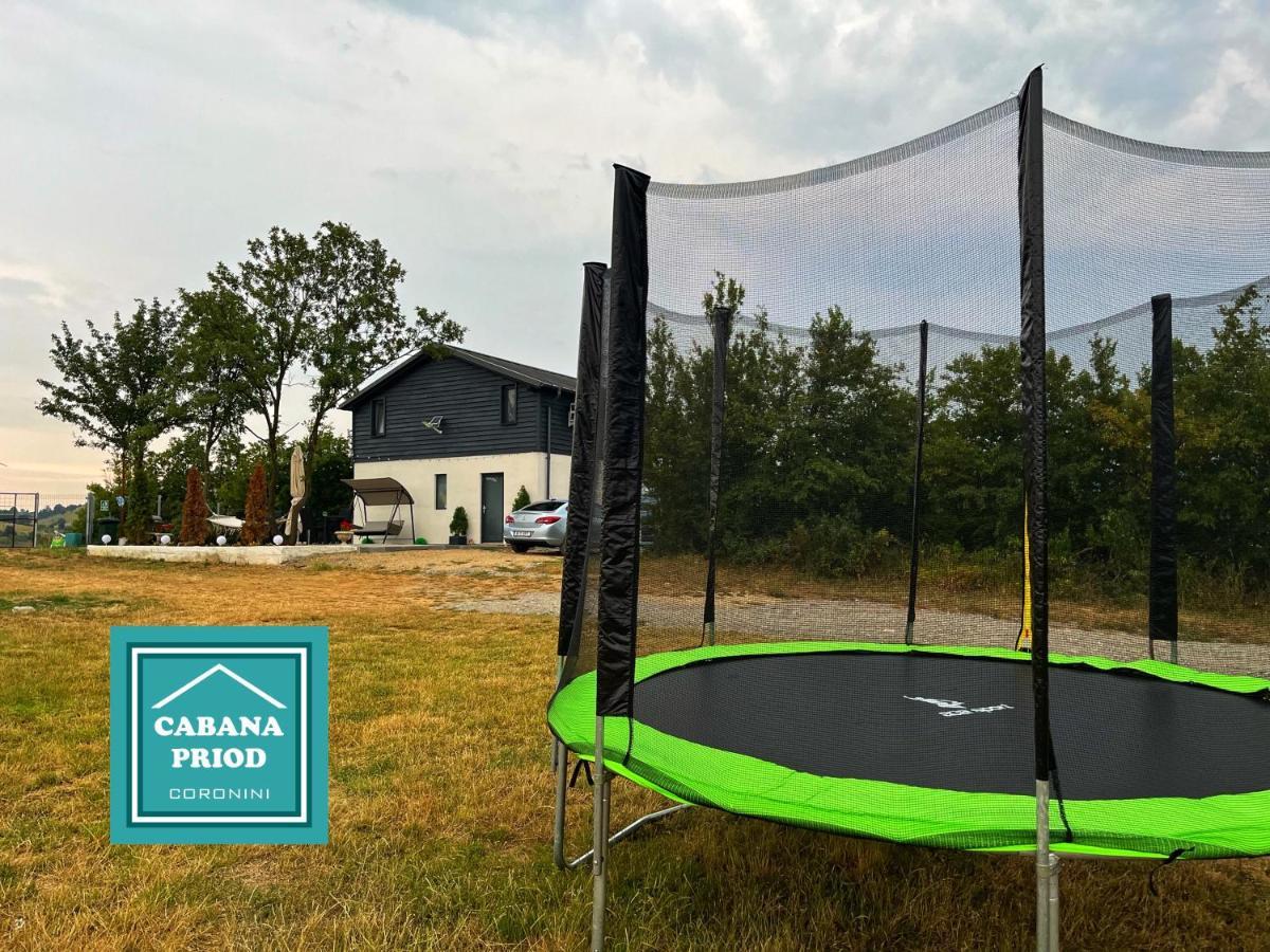 Cabana Priod Coronini Pescari Экстерьер фото