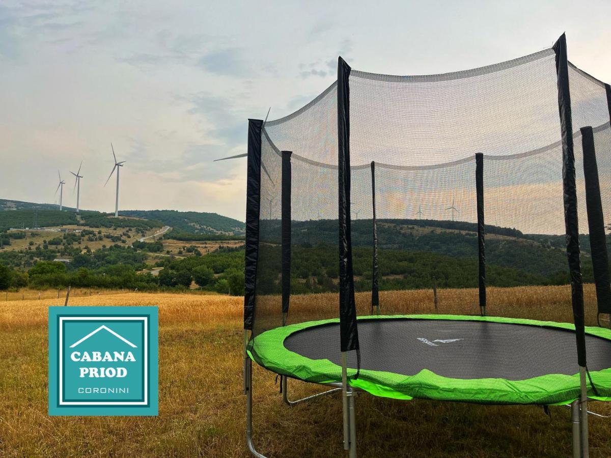 Cabana Priod Coronini Pescari Экстерьер фото