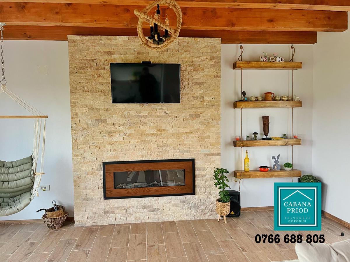 Cabana Priod Coronini Pescari Экстерьер фото