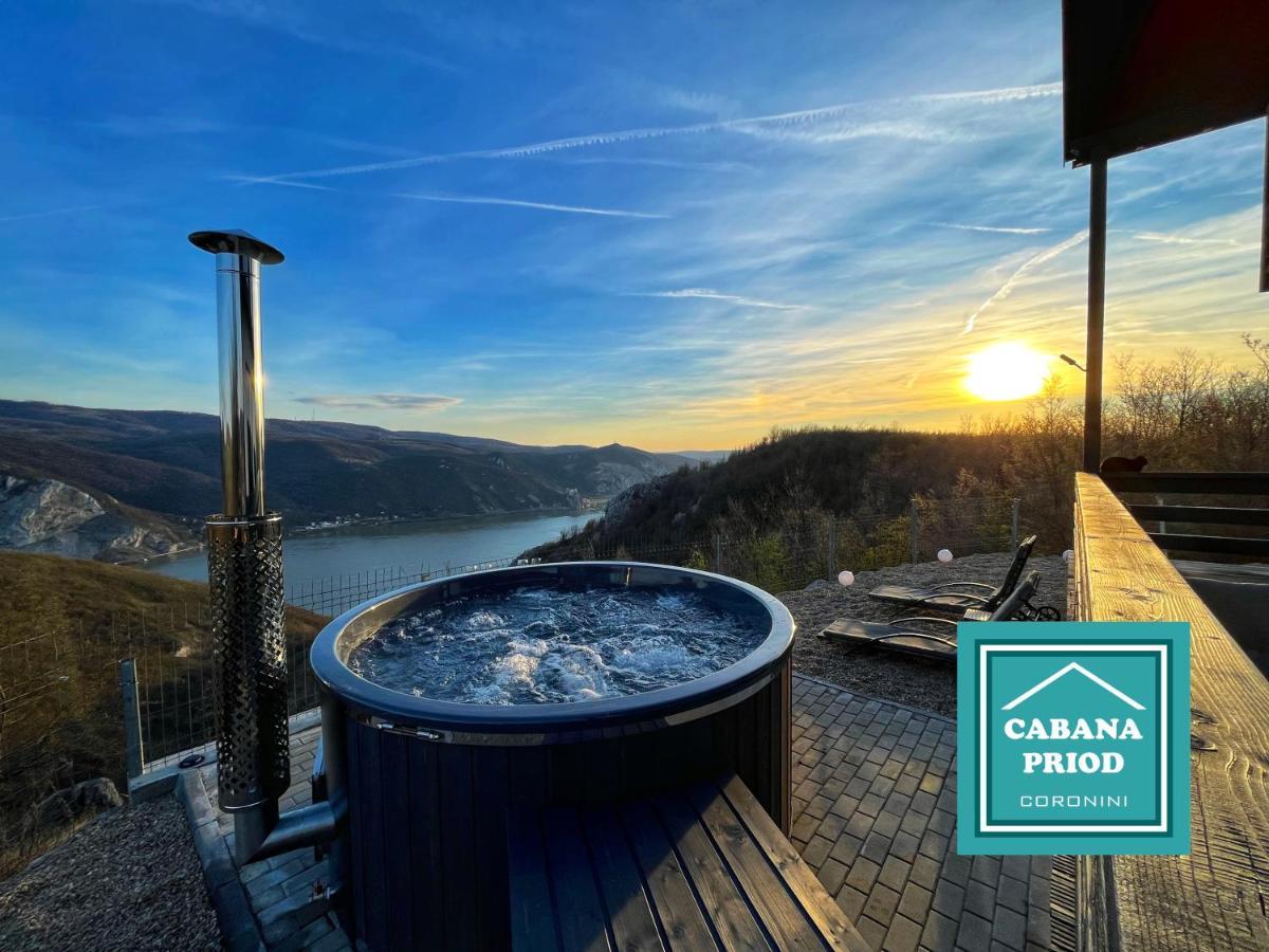 Cabana Priod Coronini Pescari Экстерьер фото